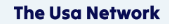 the usa network